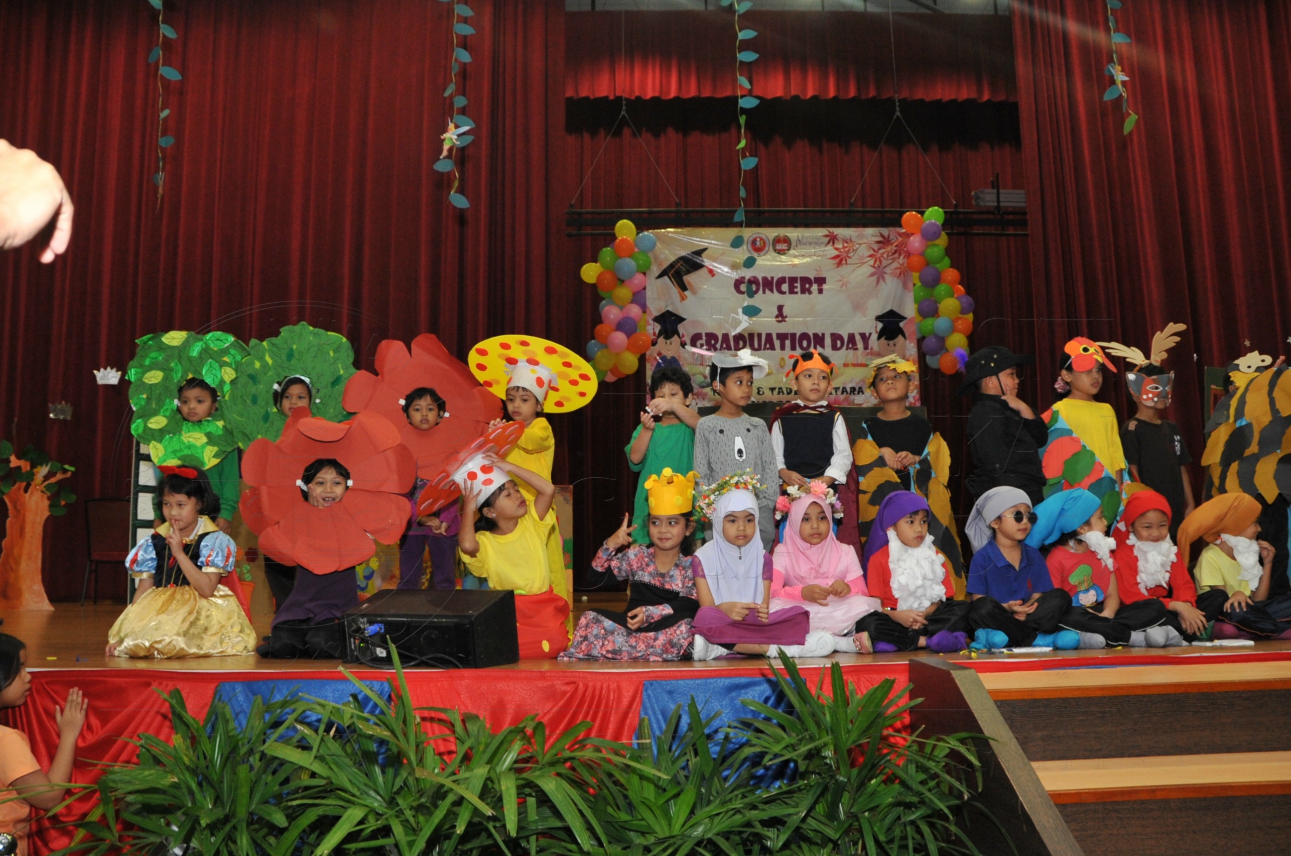 PRO15 163 KONVO HAS 0822